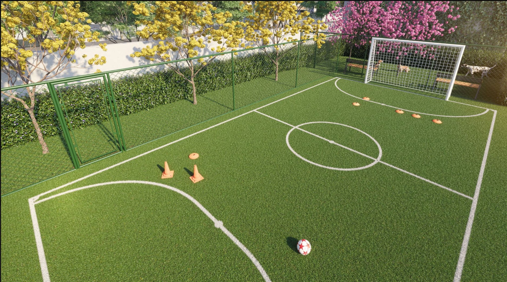 Campo gramado esportivo